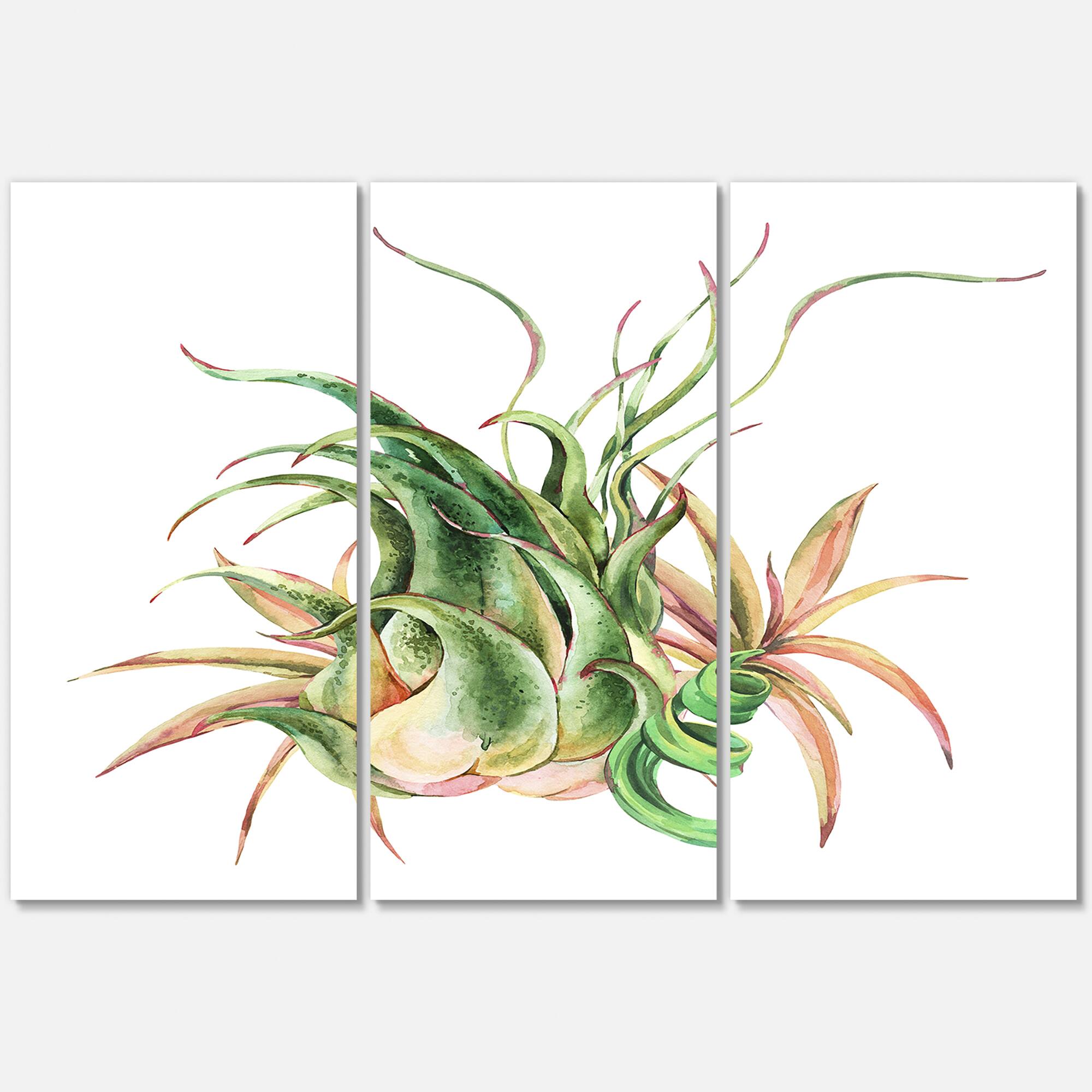 Designart - Tropical Leaves Air Plant Succulent